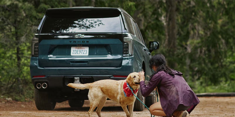A woman kneels to pet a dog in front of a parked vehicle, showcasing a moment of affection between them.